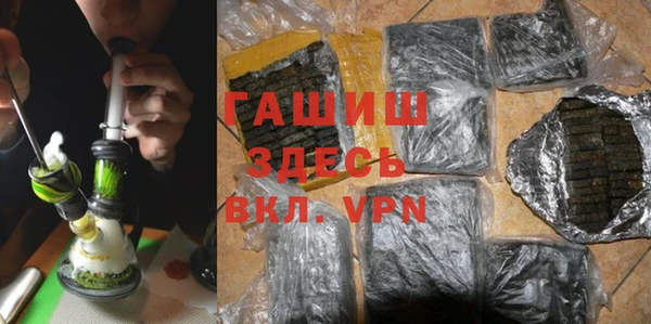 индика Киреевск