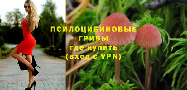 MESCALINE Пересвет