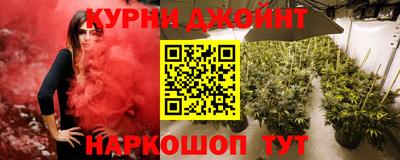 мдпв Гусев