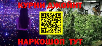 мдпв Гусев