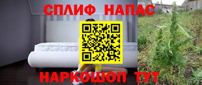 мдпв Гусев