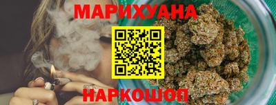 мдпв Гусев