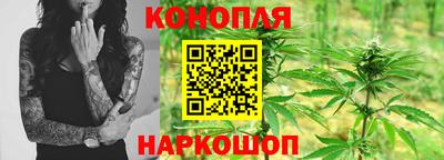 мдпв Гусев