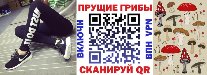 Псилоцибиновые грибы Psilocybe Корсаков