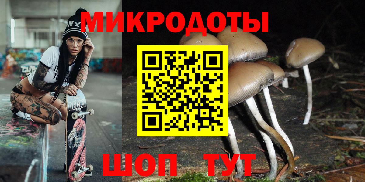 Корсаков  Галлюциногенные грибы Psilocybe  Вход с VPN 